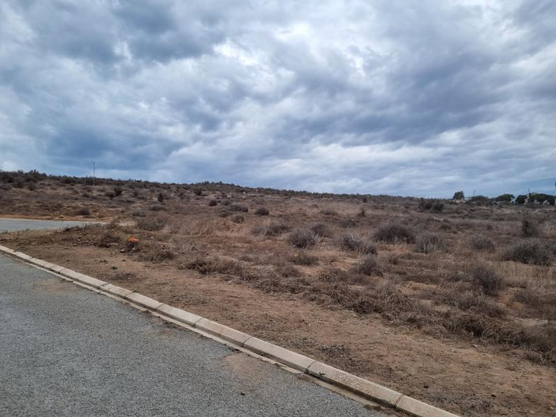 0 Bedroom Property for Sale in Saldanha Rural Western Cape